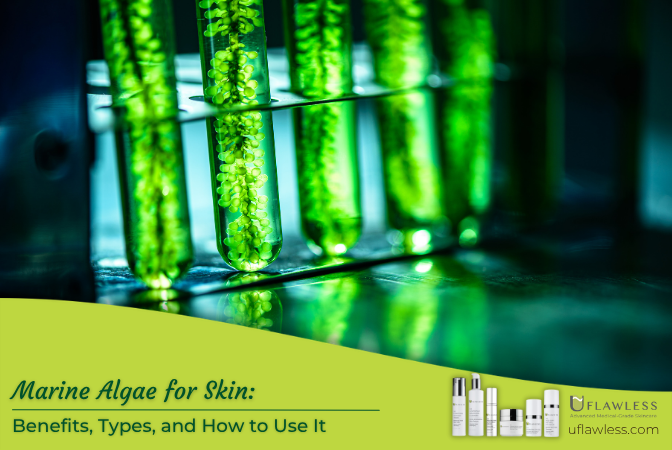 Marine Algae delivers firmness and overall healthy look to the skin