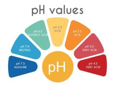 ph balance for healthy skin
