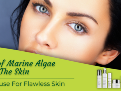 The Power of Marine Algae Extract for The Skin