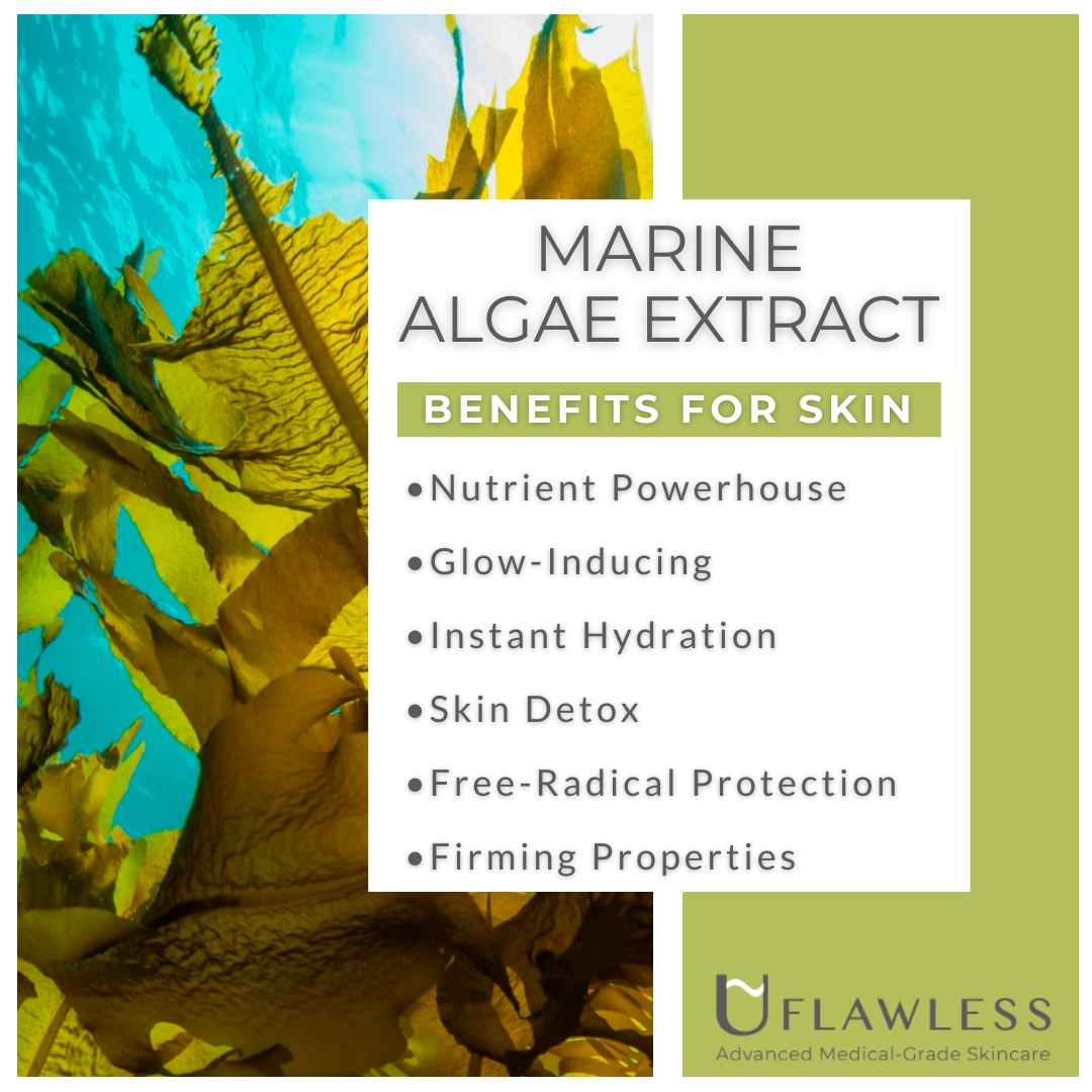 Marine Algae Extract Benefits For Skin