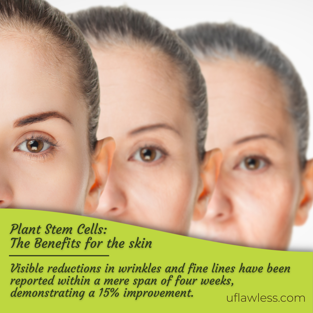 The Benefits of Plant Stem Cells for the skin